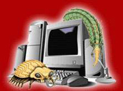 broban_250209_(microsoft).jpg
