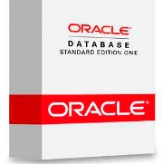 091109_secu_oracle.jpg